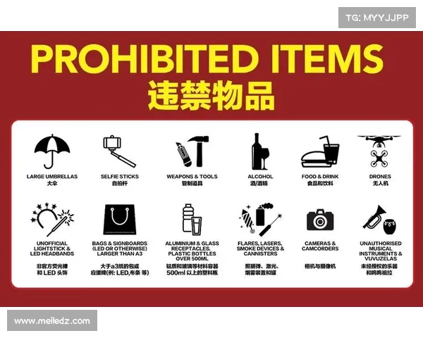 超级碗安检新规发布 禁止携带自拍杆等物品入场 超级碗安检新规发布 禁止携带自拍杆等物品入场