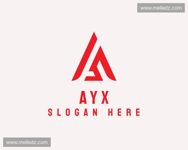 初识ayx官网